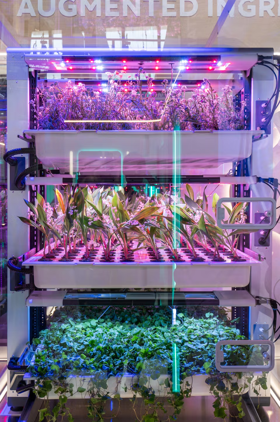 Interstellar Lab's latest development in BioPod technology : SIRIUS