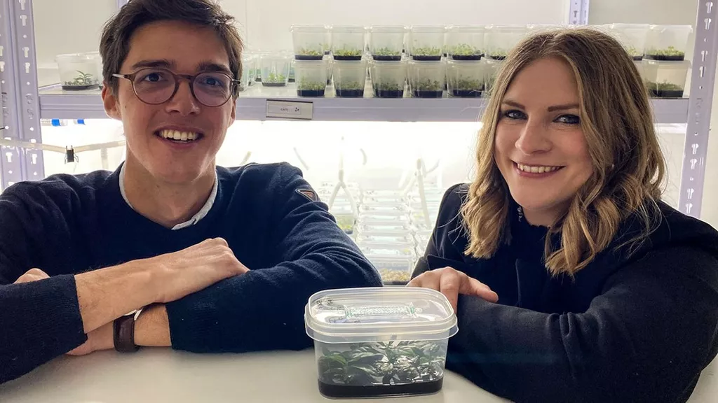 Omar Dekkiche and Lucie Kriegshauser, Co-Founders of Amatera