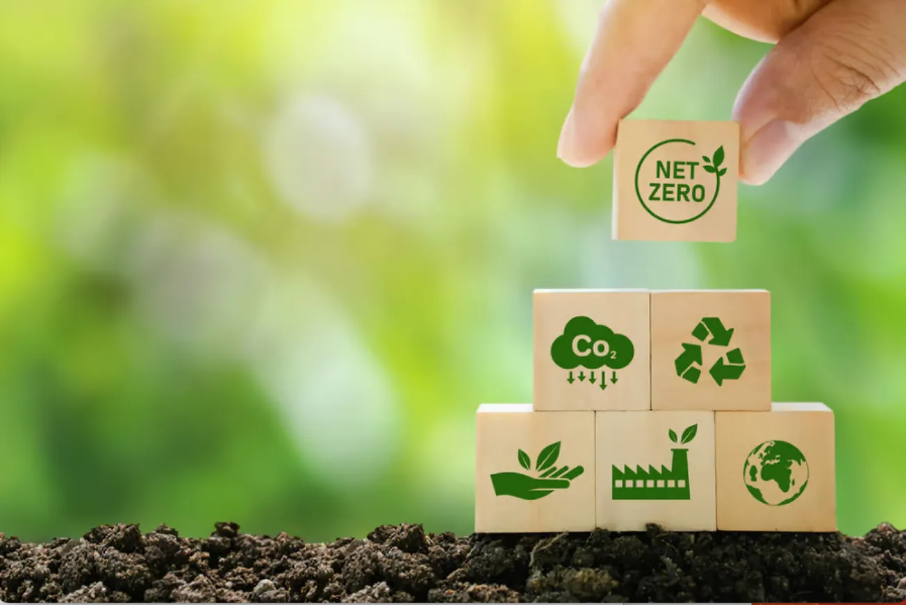 Sector Deep Dive: Carbon Accounting And Offset