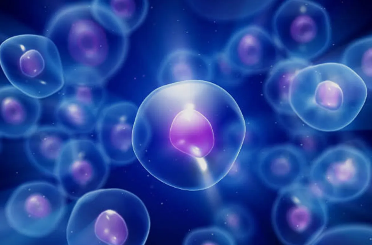 Nanobiotix’s Laurent Lévy: “We’re creating a new class of medicines and a potential $6bn blockbuster."