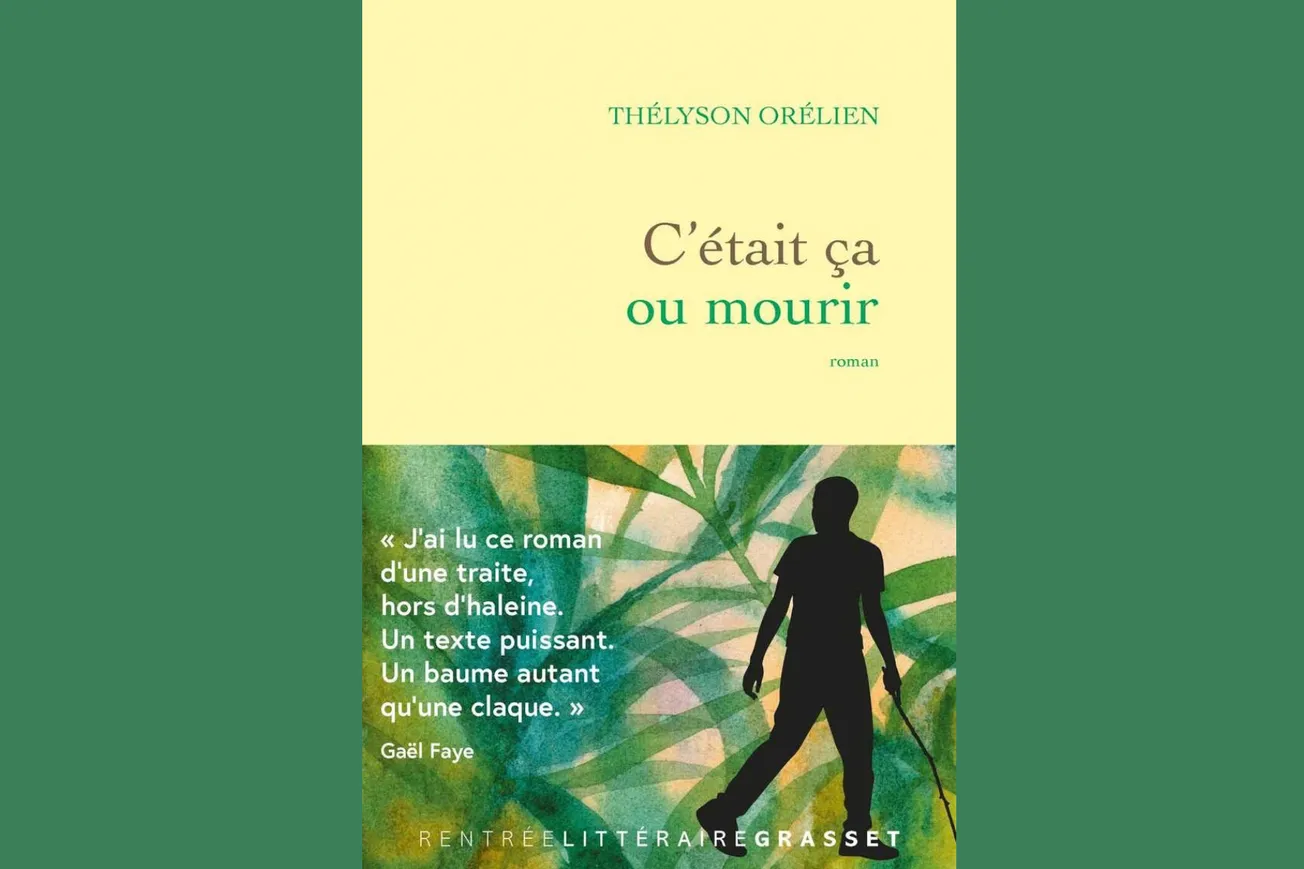 'C'était ça ou mourir': Is Publishing Phenomenon A French AI Literary Scandal?